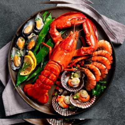 Mountain fox notebook