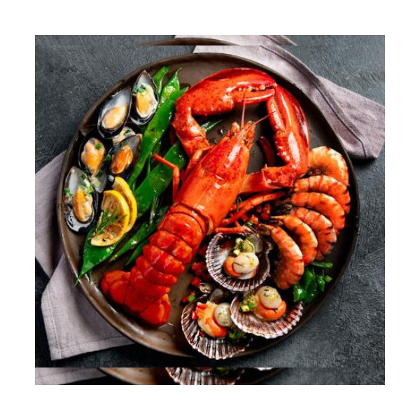 Mountain fox notebook